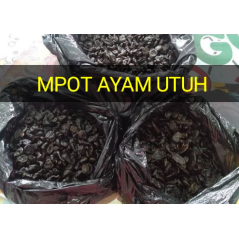 MPOT AYAM UTUH COD