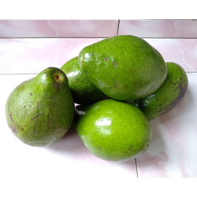 

Alpukat Ranuyoso, Lumajang
