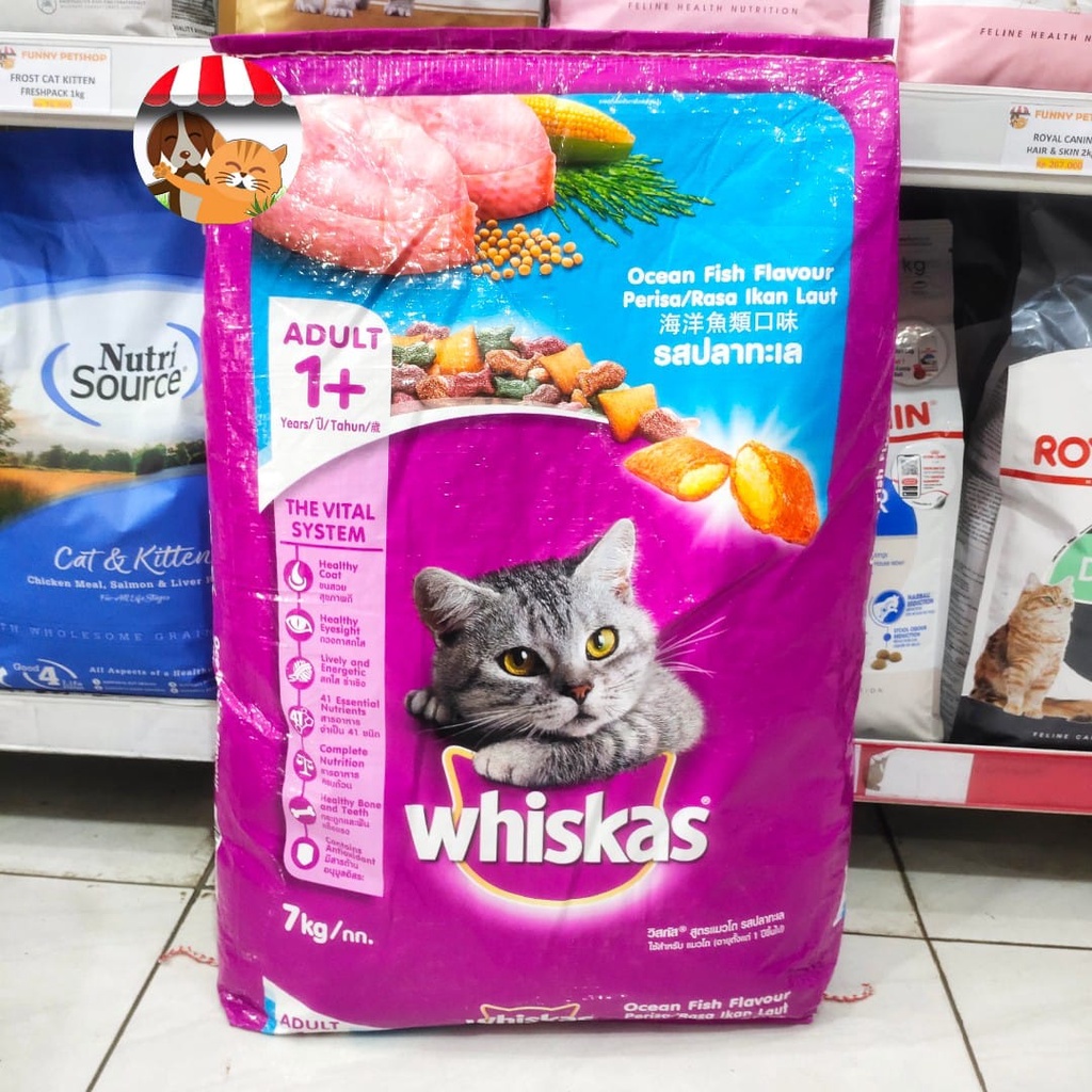 Whiskas Ocean Fish Adult 500gr Repack - Makanan Kucing Dewasa