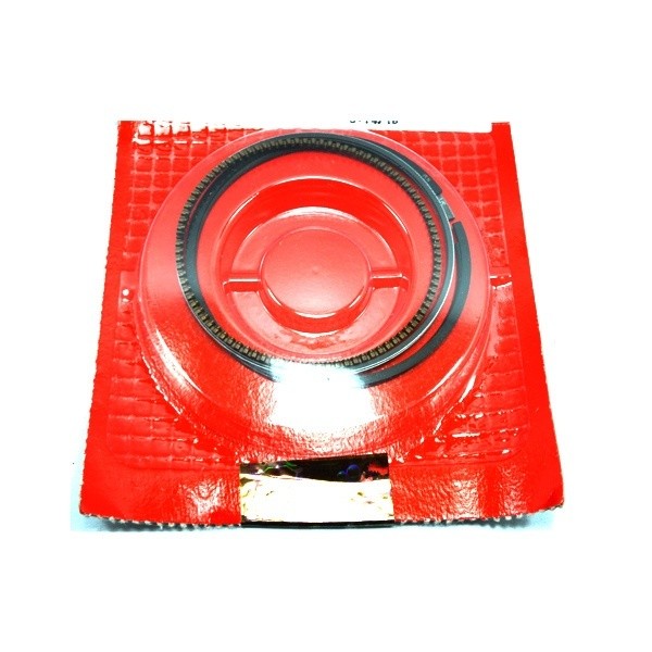 Ring Set Piston STD 13011K56N00