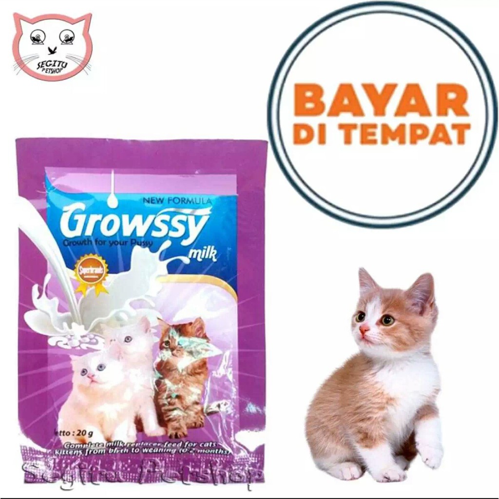 Susu Kucing Kecil Kitten Indukan Growssy