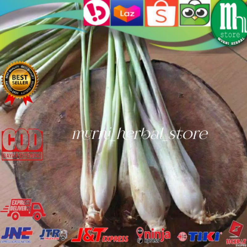 

Sereh Segar Serai Bumbu dan herbal kondisi Fresh