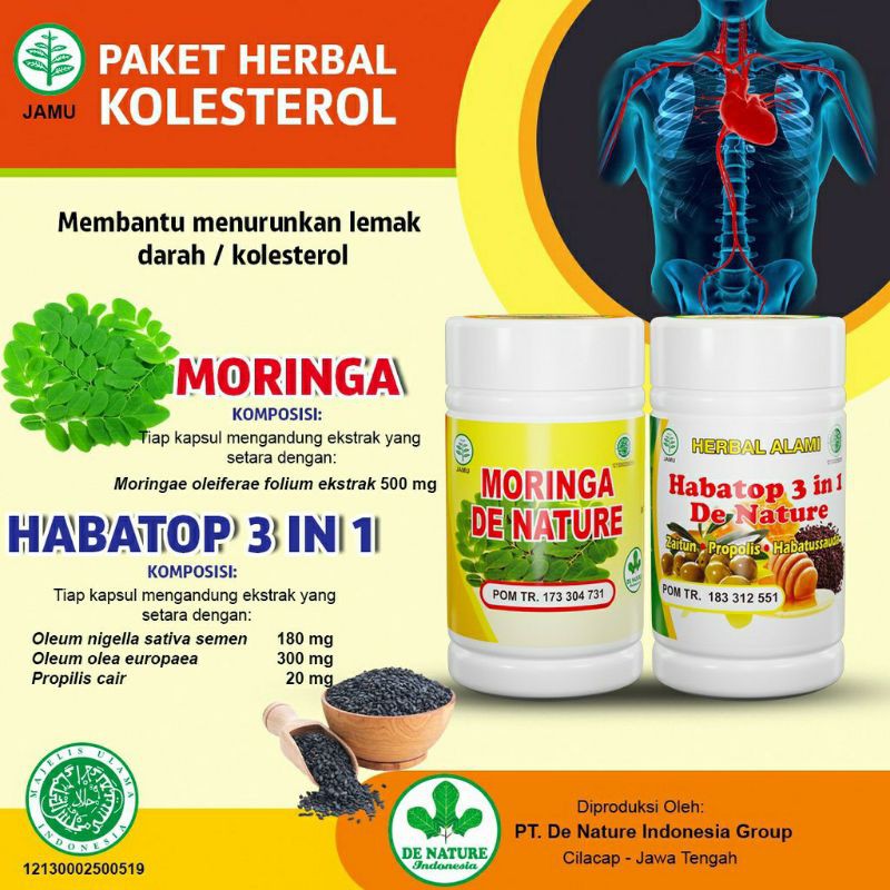 

Obat Kolesterol Darah Tinggi Moringa Habatop 3in1 De Nature