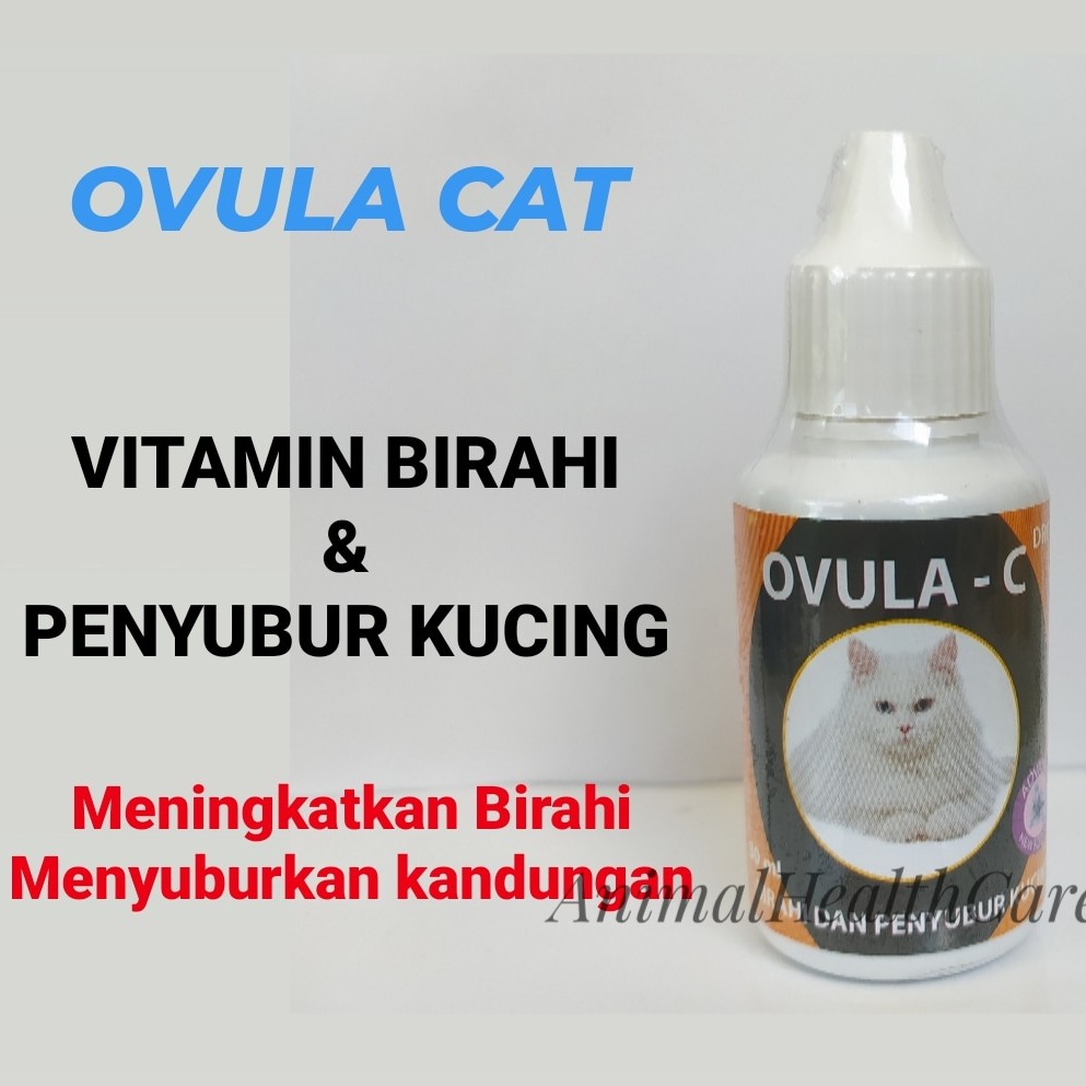 OVULA C - Obat Birahi Penyubur Kandungan Kucing 30ml