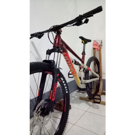 Polygon Siskiu D5 2021 M