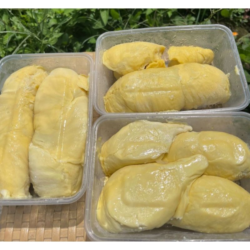 

durian montong
