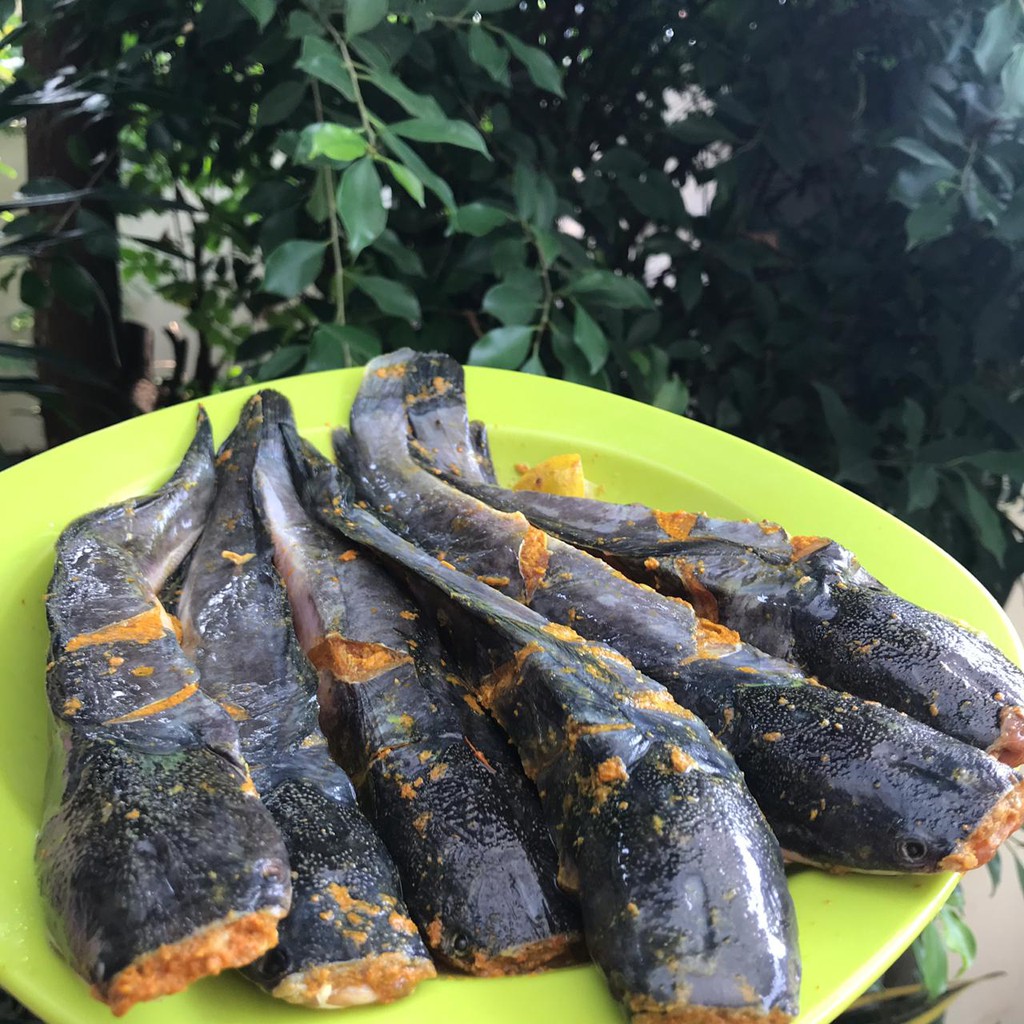 

Lele Siap Goreng Tanpa Pengawet