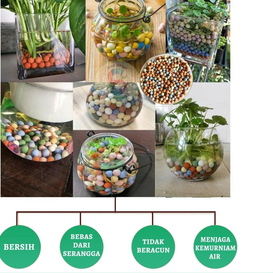 

Terlaris! CLAY COLOUR CERAMSITE 8-15mm - HYDROTON PerKilo ✔