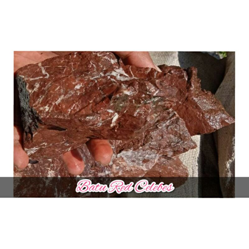 

Celebes Stone