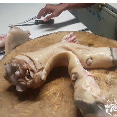 

Kikil Sapi Rebus Segar/ Kikil Sapi 1 Batang Penuh/ Kikil Sapi