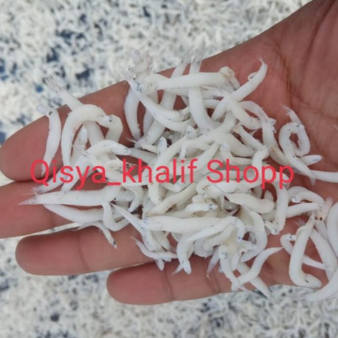 

[COD] TERI NASI MEDAN GRADE A(250gr). [COD]