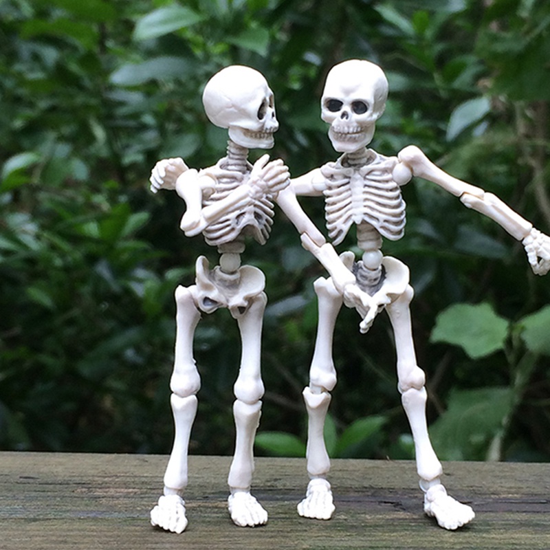 Mary Movable Mr. Bones Skeleton Model Manusia Tengkorak Full Body Mini Figure Mainan Halloween