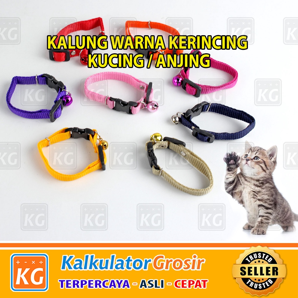 Kalung Kucing Warna 1 Lonceng 10mm &amp; 12mm - Aneka Warna Cerah dan Solit Kerincing
