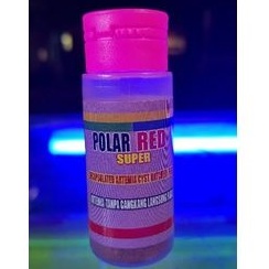 Artemia Polar Red Super