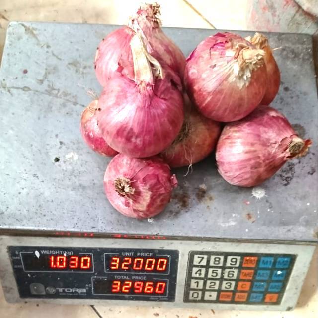 

Bawang Merah Super