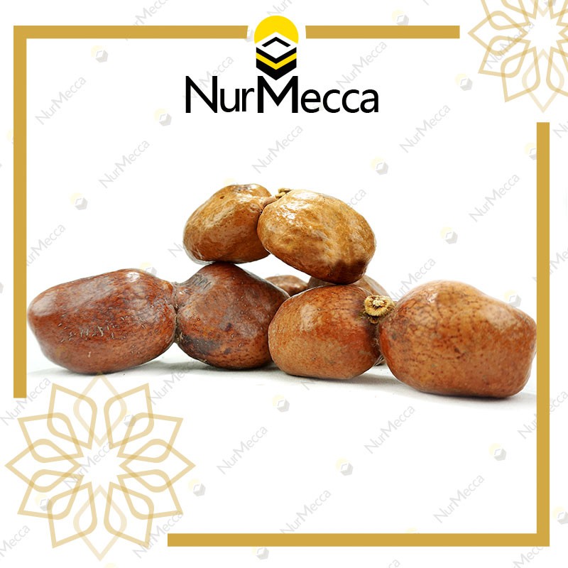 Buah Zuriat Kembar Buah Doum 250 Gr