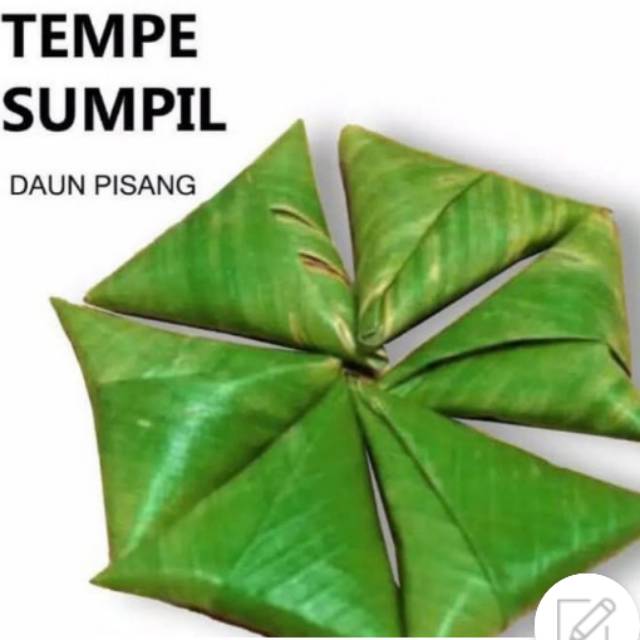 

TEMPE SUMPIL ISI 12 PCS