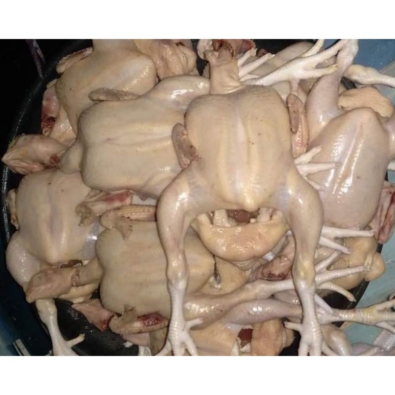 

Ayam Ekoran
