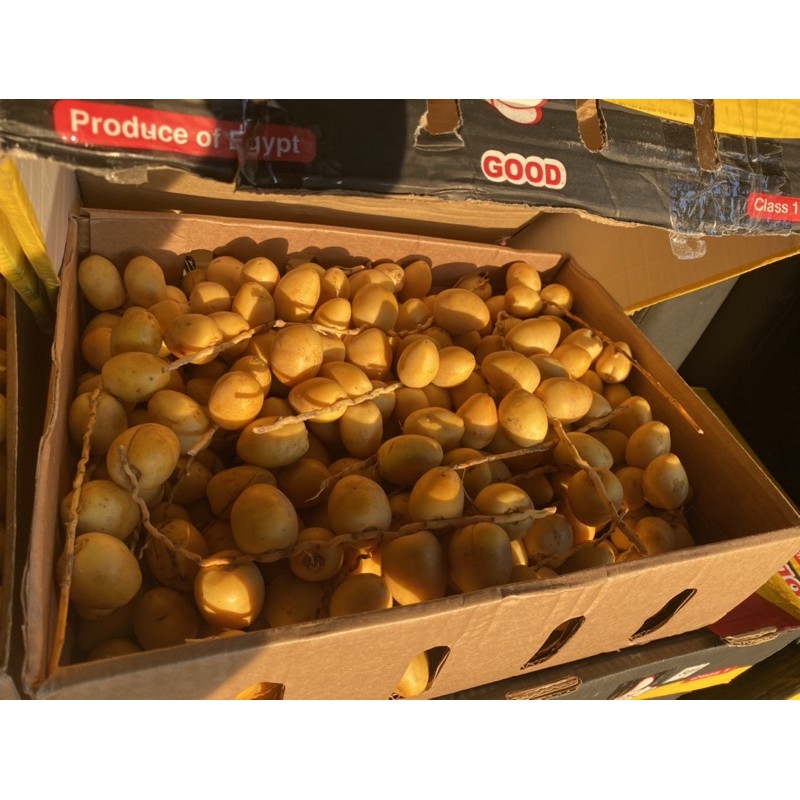 

Promo Kurma Muda Ruthob Barhi Besar 500Gram Manis Khusus Gojek Grab Surabaya Dst