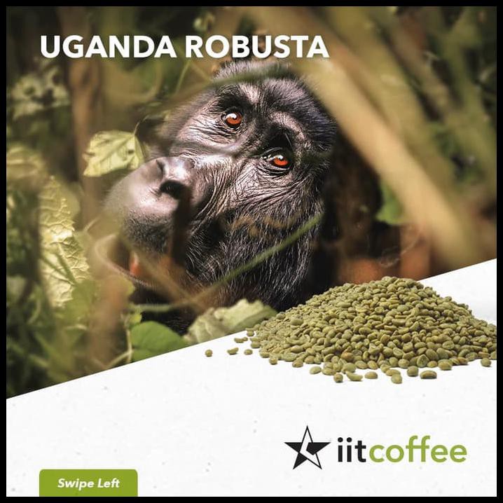 

R7UJ ROBUSTA GREEN BEANS - UGANDA G1 NATURAL 1KG JGIV