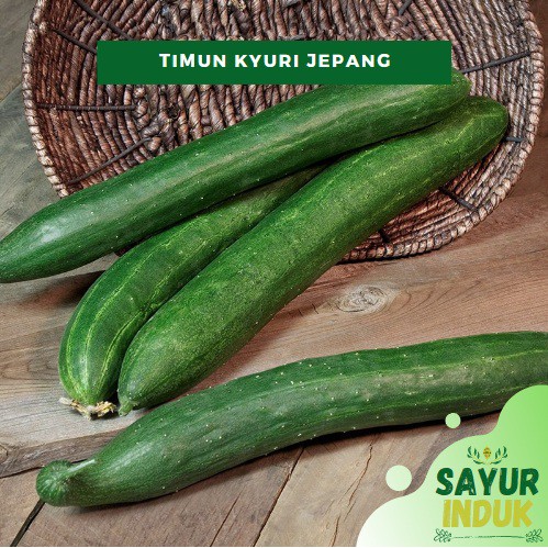 

Sayur Induk - Timun Jepang Kyuri 250 Gram Fresh Grade A Cucumber