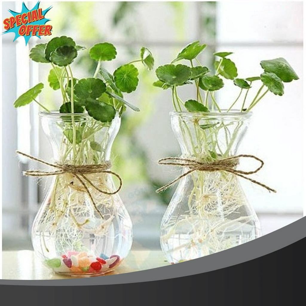 SEGERA BELI VAS BUNGA KACA BENING TALI RAMI  VAS BUNGA KACA BULAT  VAS BUNGA KACA BENING TALI RAMI  