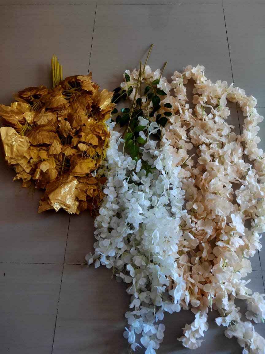 Wanflower Bunga Juntai Wisteria 2m * Champagne Muda