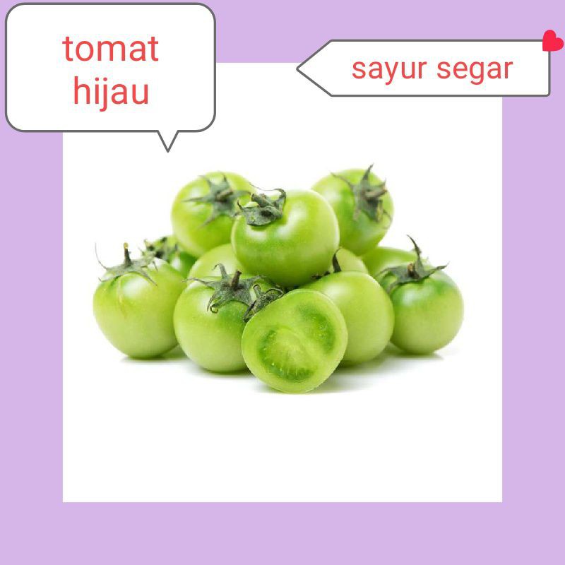

TOMAT HIJAU