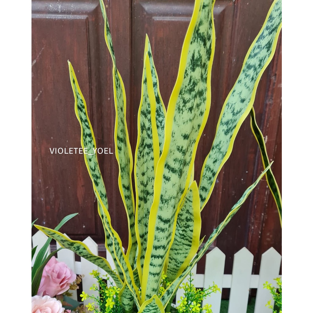 Tanaman Lidah Mertua Artificial dan Pot