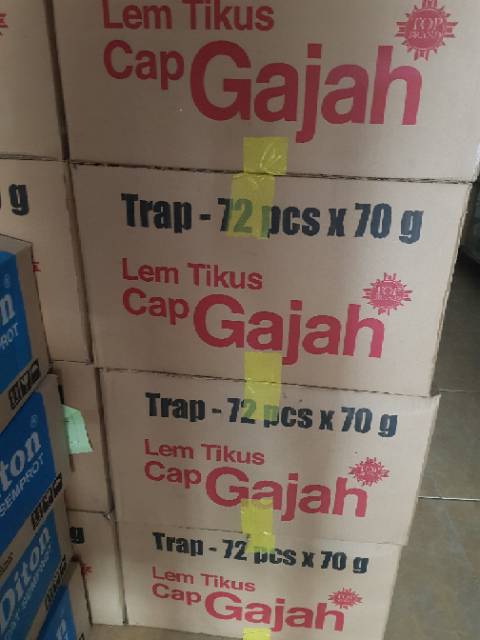 72 Pcs Lem Tikus Cap Gajah Trap / Papan