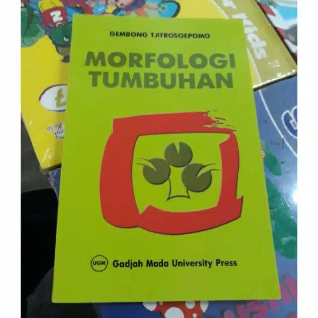 Morfologi tumbuhan