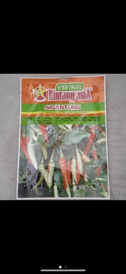 Cabe / benih cabai rawit Sigantung 10gr bintang asia saset-3