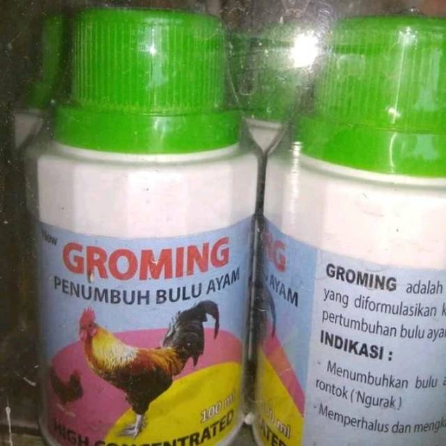 Groming penumbuh bulu ayam