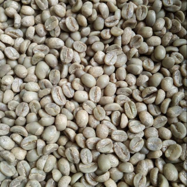 

Kopi Arabika (Full Wash) Argopuro Jember