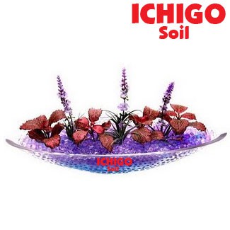 ICHIGO SOIL HYDROGEL WATER BEADS EDUKASI ANAK DEKORASI SLIME