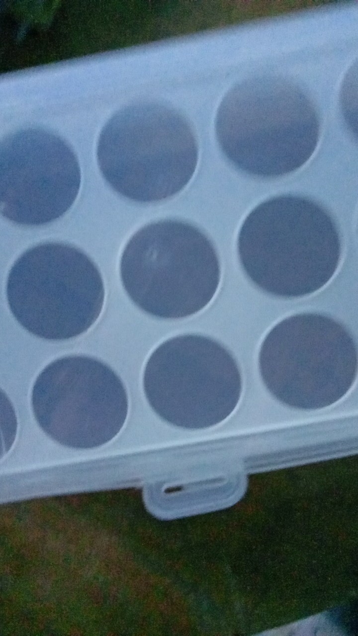 Tempat Telur 15 Lubang Dan Sekat (box Telur)