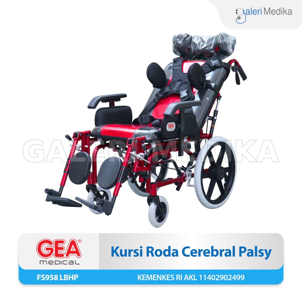 Kursi Roda Cerebral Palsy - GEA FS 958 LBHP