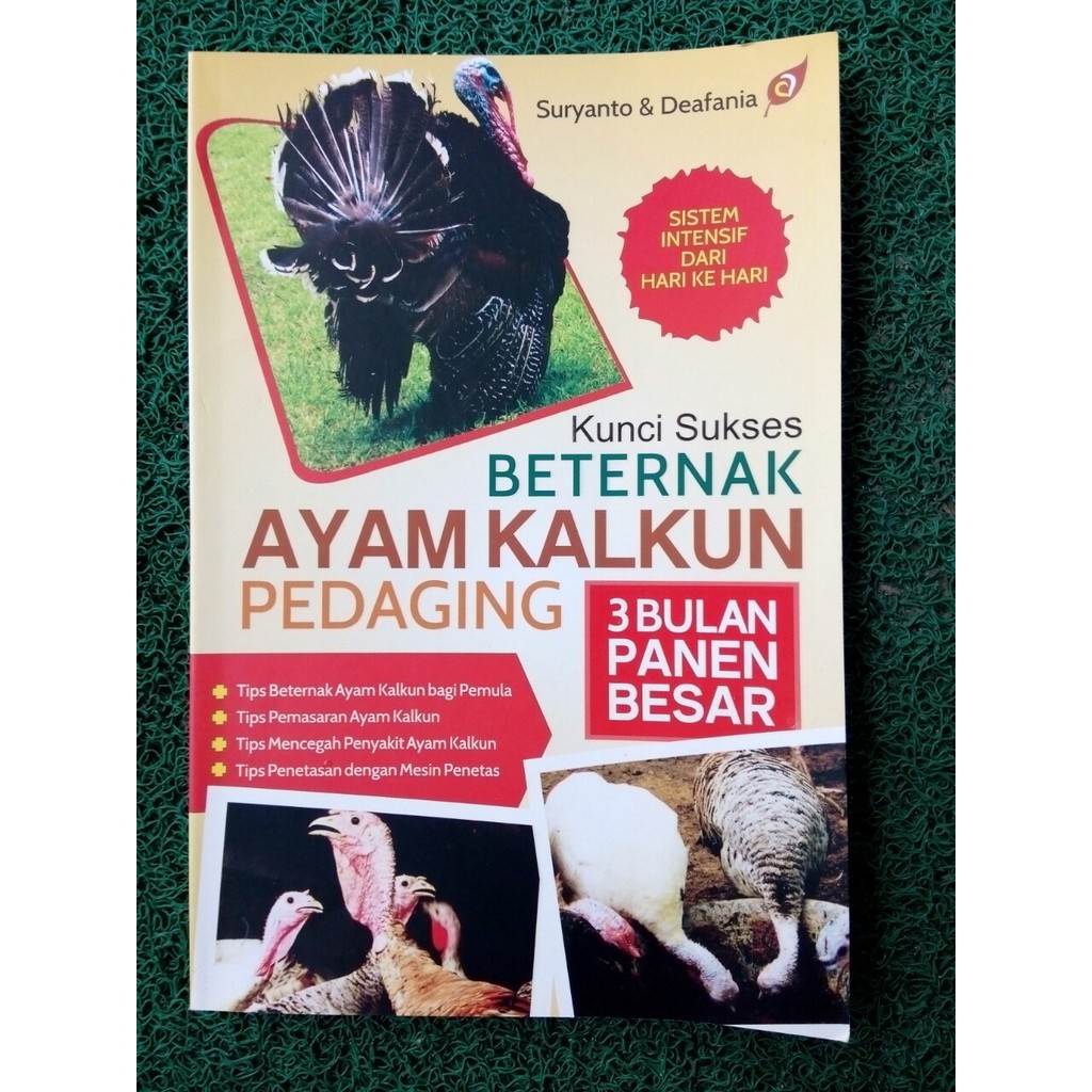 Jual Buku Sukses Beternak Ayam Kalkun Shopee Indonesia