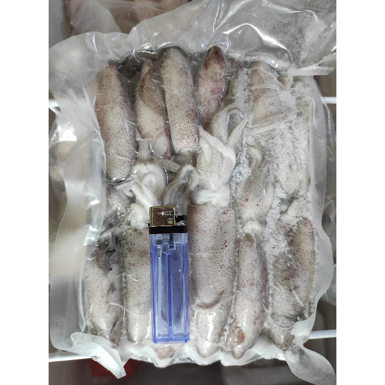 

Cumi-Cumi Utuh 500gr Segar Frozen