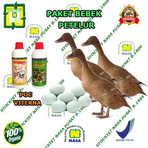 

Paket Ternak Bebek Petelur / Ayam petelur / Ayam pedaging/Oiginal Nasa