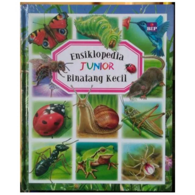 Ensiklopedia Junior Binatang Kecil