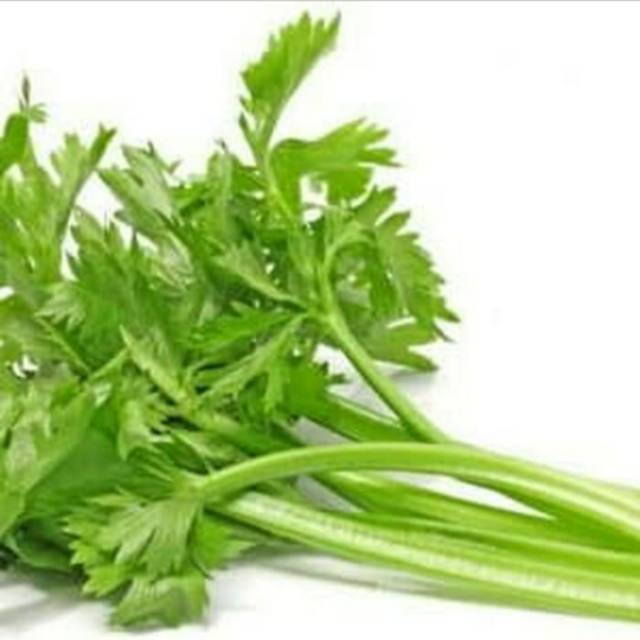 

Daun seledri / 100gram