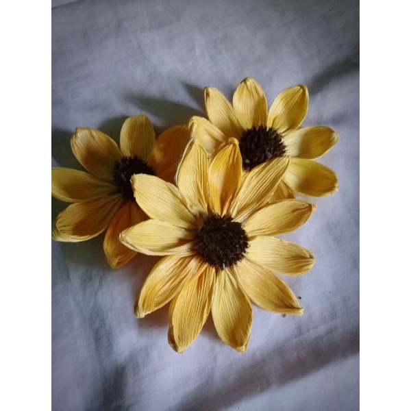 Bunga Klobot Matahari