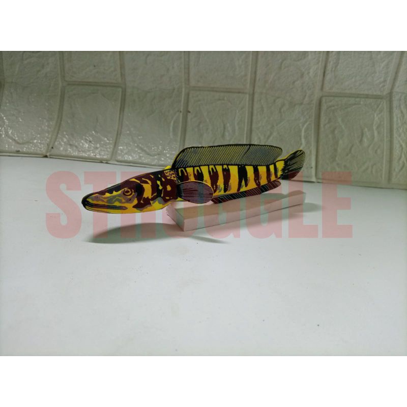 PATUNG WAYANG BONEKA CHANA AURANTI, YELLOW MARU, RED MARU,blue PULCHRA/IKAN GABUS (STRUGGLE)AQUARIUM AQUASCAPE POLADARIUM  PEMANAS PANCINGAN LATIHAN BIAR GALAK DAN AGRESIF ANTI MAGER