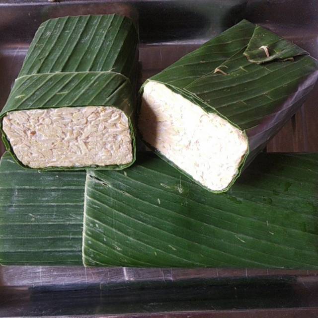 

Tempe daun