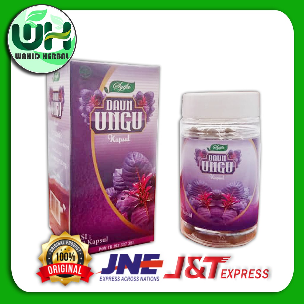 KAPSUL DAUN UNGU OBAT HERBAL WASIR SYIFA / KAPSUL DAUN UNGU OBAT AMBEIEN / DAUN UNGU SYIFA