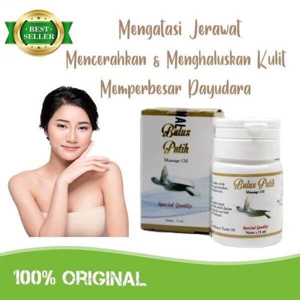 Minyak Bulus Putih ASLI 100% Original Terdaftar BPOM Oil - Minyak Bulus Putih Lebih Bagus Lebih Aman