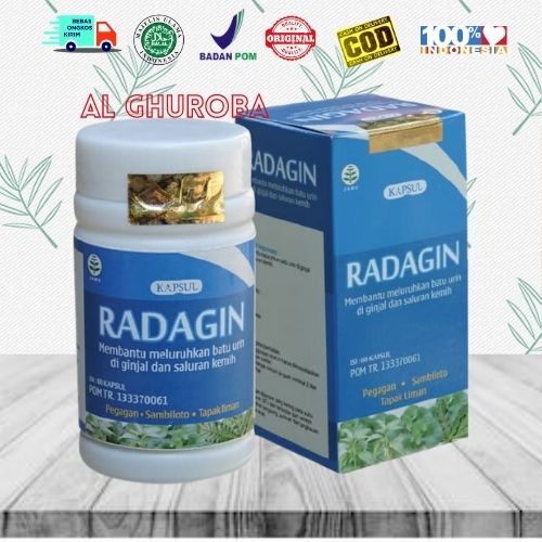 Kapsul Herbal Radagin Membantu Memelihara Kesehatan Ginjal Alami KHASIAT AMPUH ORIGINAL