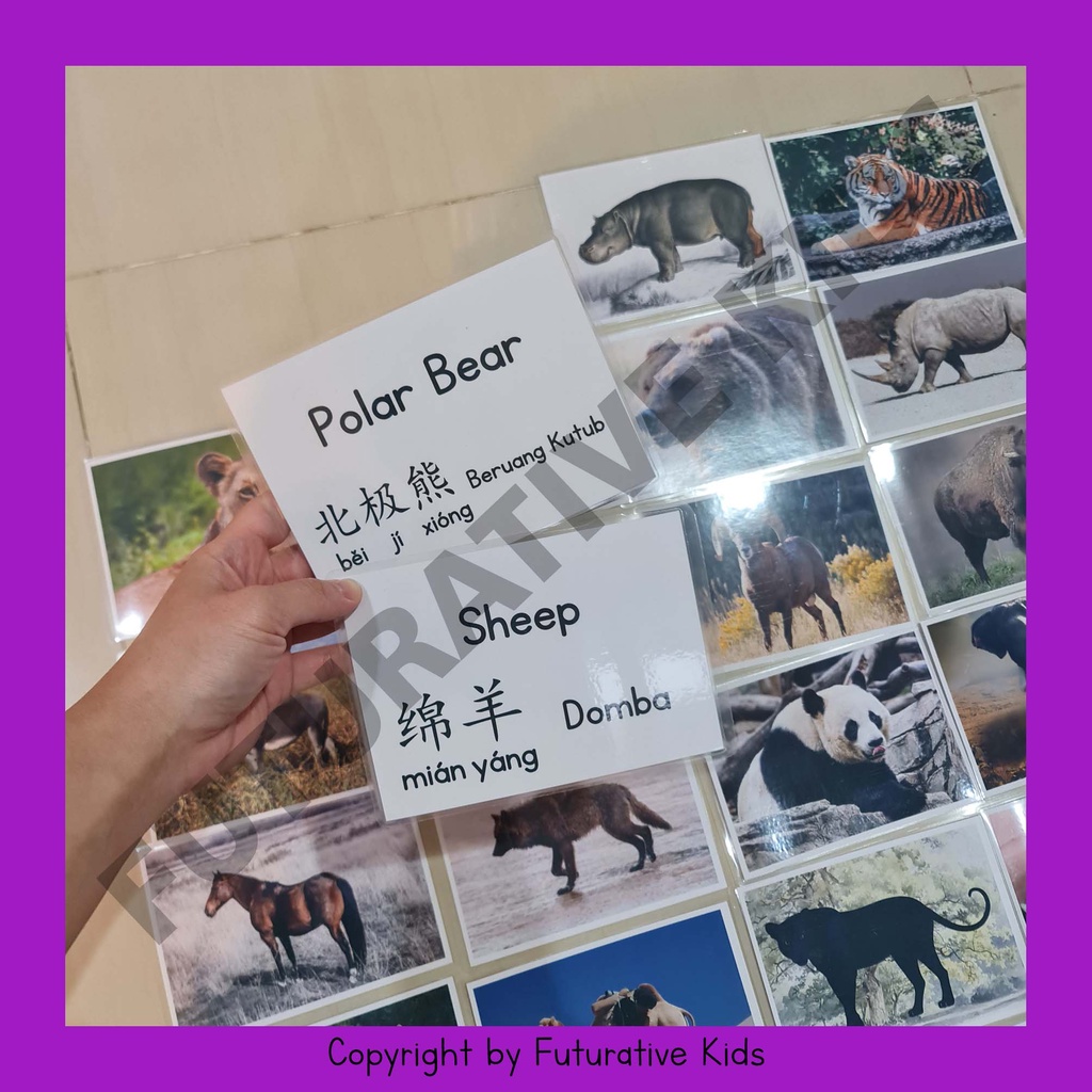 

Kartu Montessori Wild Animals Size A6 20 pcs 3 Bahasa (IND-ENG-CHN)