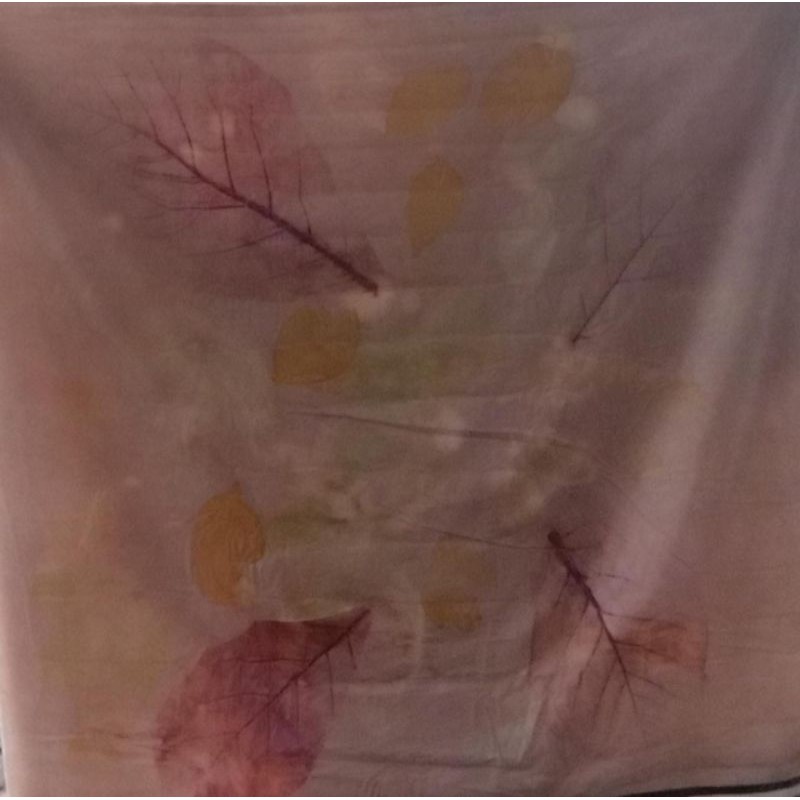Ecoprint kain katun rayom